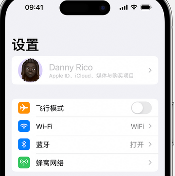 柳北appleID维修服务iPhone设置中Apple ID显示为灰色无法使用