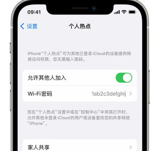 柳北apple服务站点分享iPhone上个人热点丢失了怎么办 