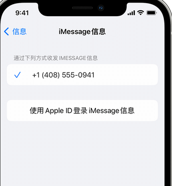 柳北apple维修iPhone上无法正常发送iMessage信息 