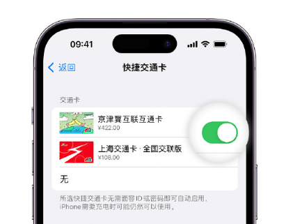 柳北apple维修点分享iPhone上更换Apple Pay快捷交通卡手绘卡面 