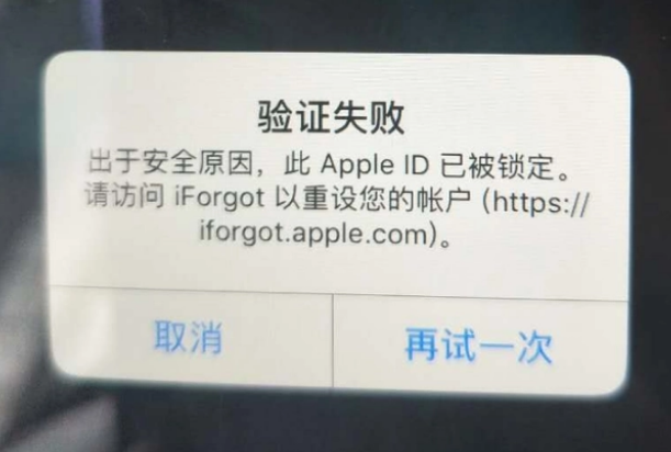 柳北iPhone维修分享iPhone上正常登录或使用AppleID怎么办 