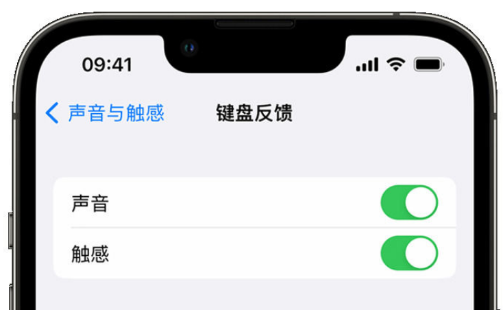 柳北苹果手机维修分享iPhone 14触感键盘使用方法 