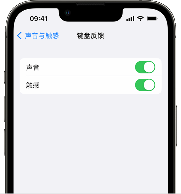 柳北苹果14维修店分享如何在 iPhone 14 机型中使用触感键盘 