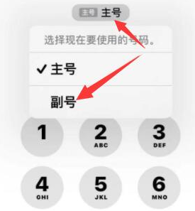 柳北苹果14维修店分享iPhone 14 Pro Max使用副卡打电话的方法 