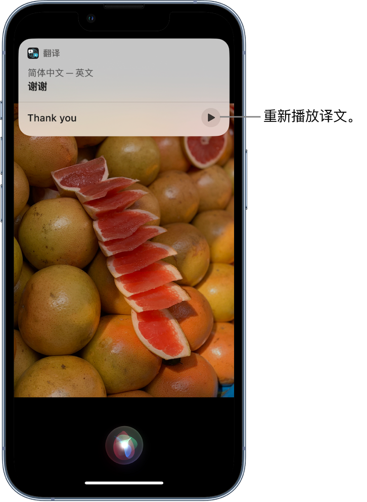 柳北苹果14维修分享 iPhone 14 机型中使用 Siri：了解 Siri 能帮你做什么 