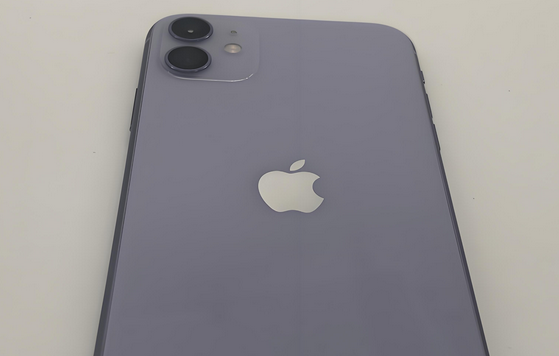 柳北苹果11系统维修分享iPhone11手机系统崩溃无法开机如何解决 